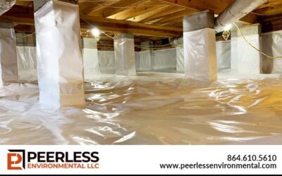 Image showcasing the benefits of crawl space encapsulation by Peerless Environmental LLC. The crawl space is covered in white plastic sheeting, contrasting with the wooden beams. The company’s contact details are displayed in black text.
