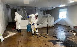 Black Mastic Removal Greenville South Carolina