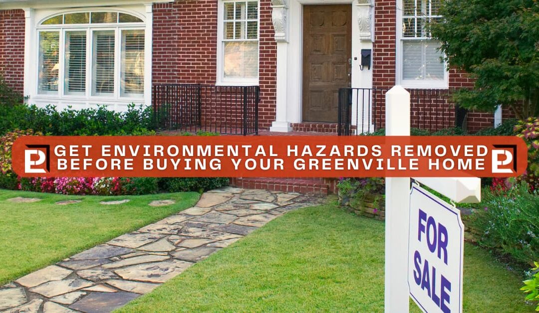 The Critical Importance of Thorough Environmental Remediation Before Buying a Greenville SC Home